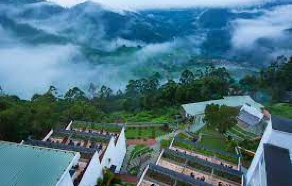 Fragrant Nature  Munnar