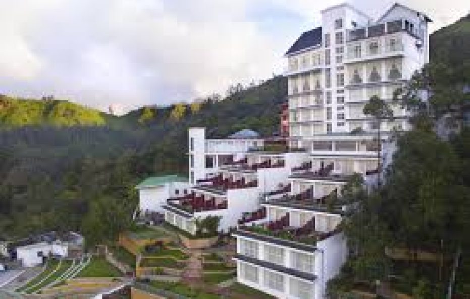 Fragrant Nature  Munnar