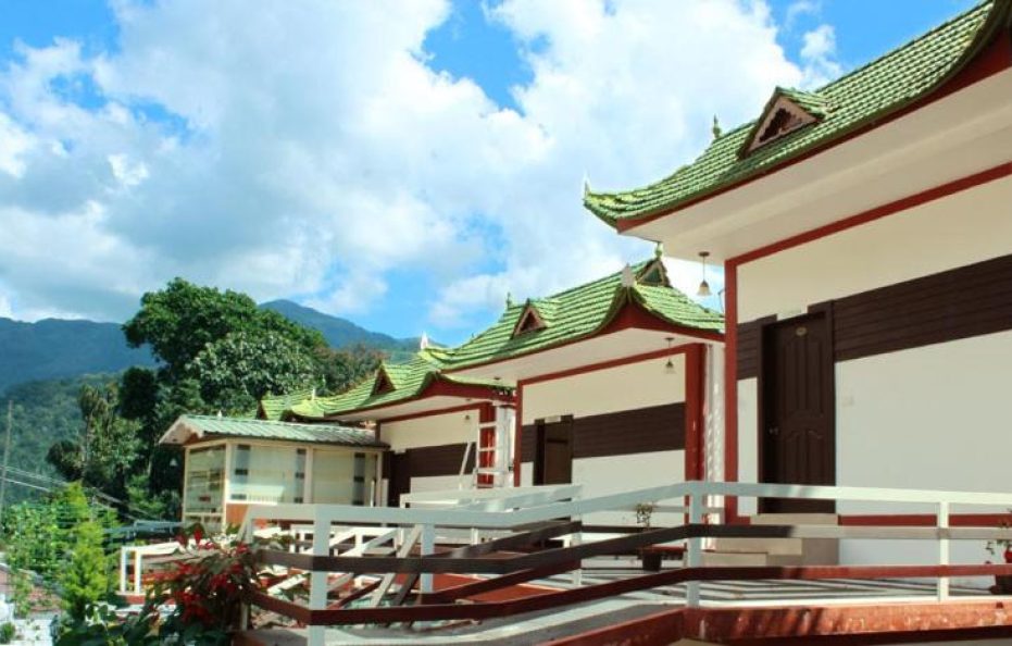 Green Trees Luxuary Suits