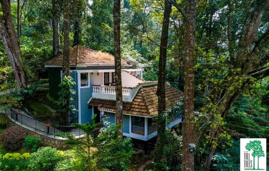 The Tall Trees Resorts