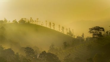 Vagamon