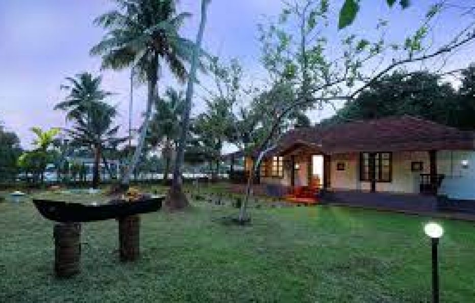 Green Trees Luxuary Suits