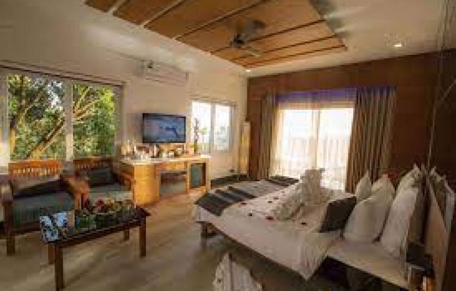 Chandy’s Windy Wood