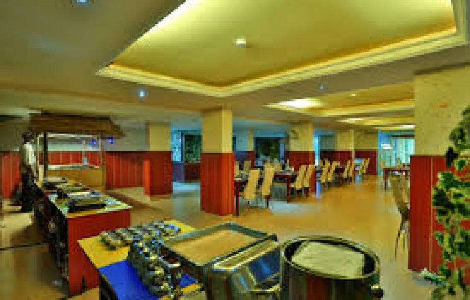 Misty Mountain Resort