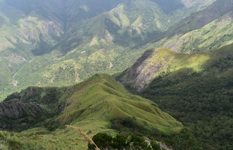 Munnar Hill Stations