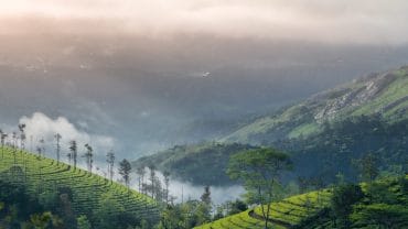 Munnar