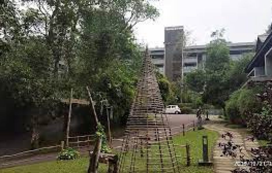 The Mountain Courtyard