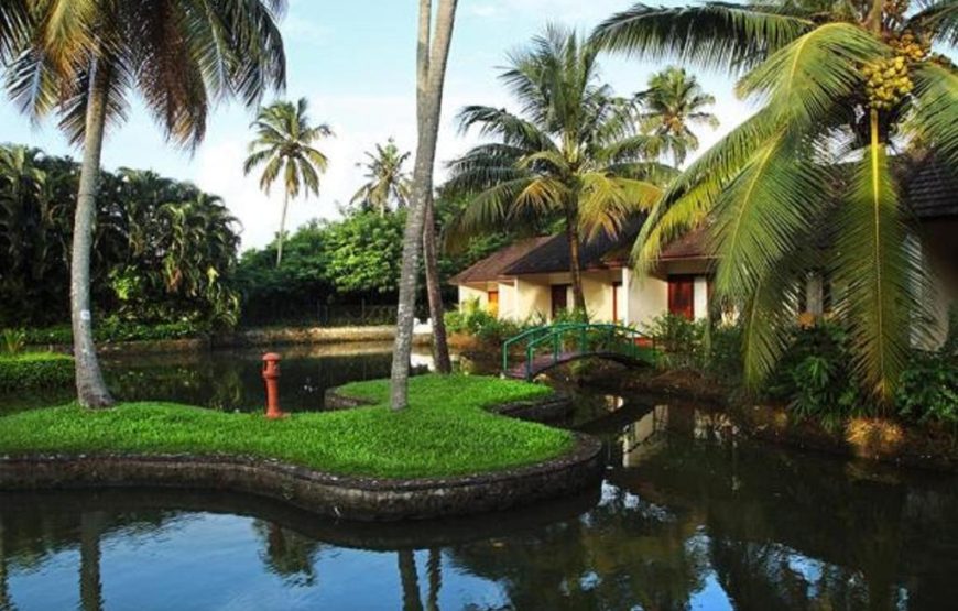 LAKE VIEW COTTAGE