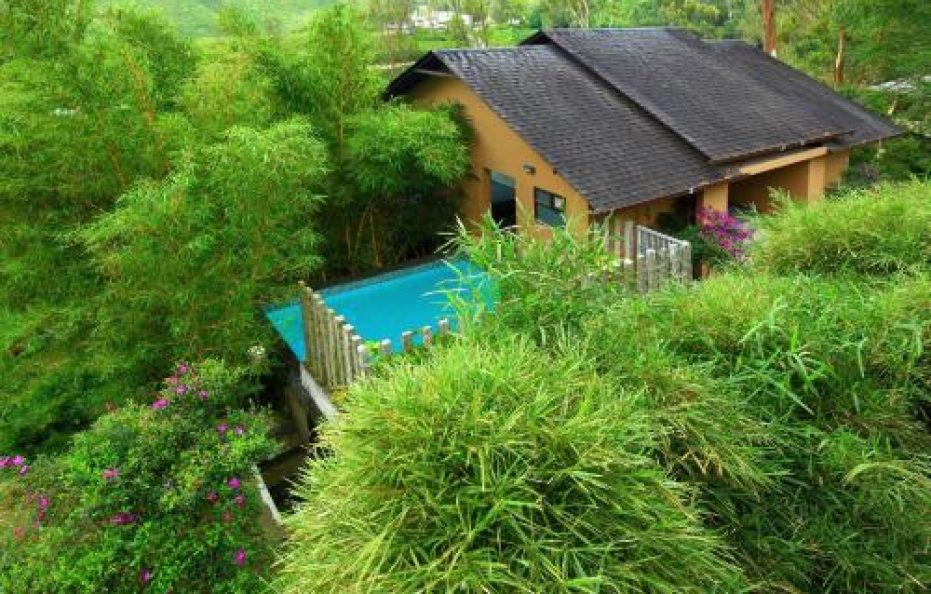 Tea Terrain Resorts and Spa