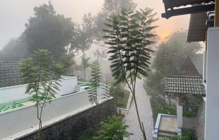 Great Trails Wayanad