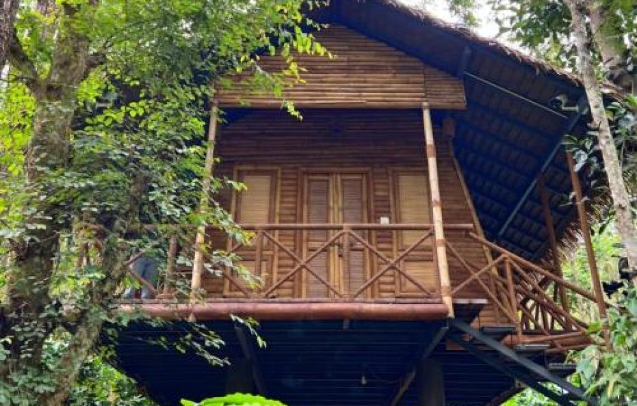 Adrak Mountain Mist Forest Resort