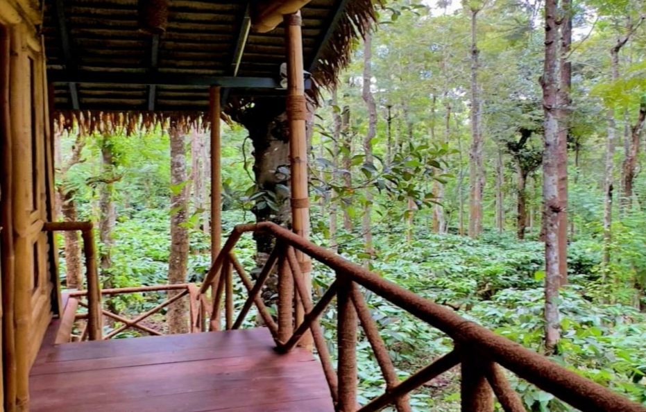 Adrak Mountain Mist Forest Resort