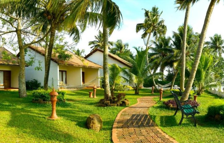 LAKE VIEW COTTAGE