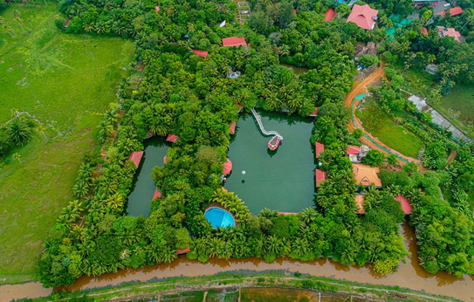 MANGO MEADOWS