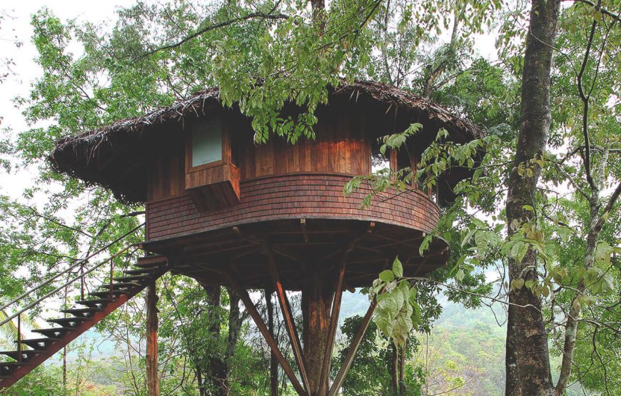 Tree House