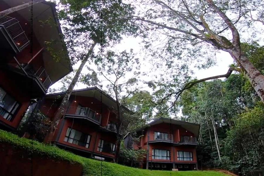 Vyna Hillock Resorts, Wayanad