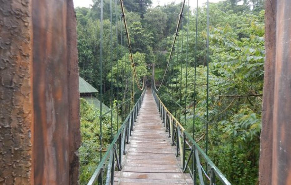 Vythiri Village Resort