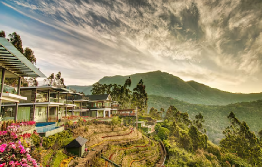 Chandy’s Drizzle Drops, Munnar