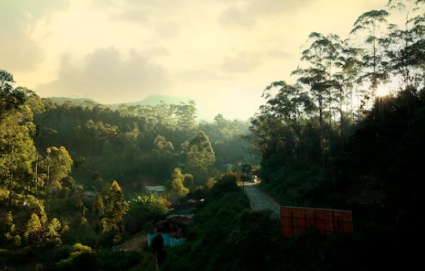 Las Palmas Hotel , Munnar