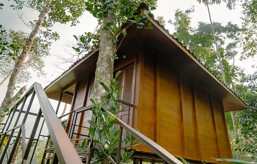 Tree House