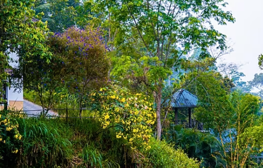 Discover Southern Panorama Indriya Resort and Spa in Munnar