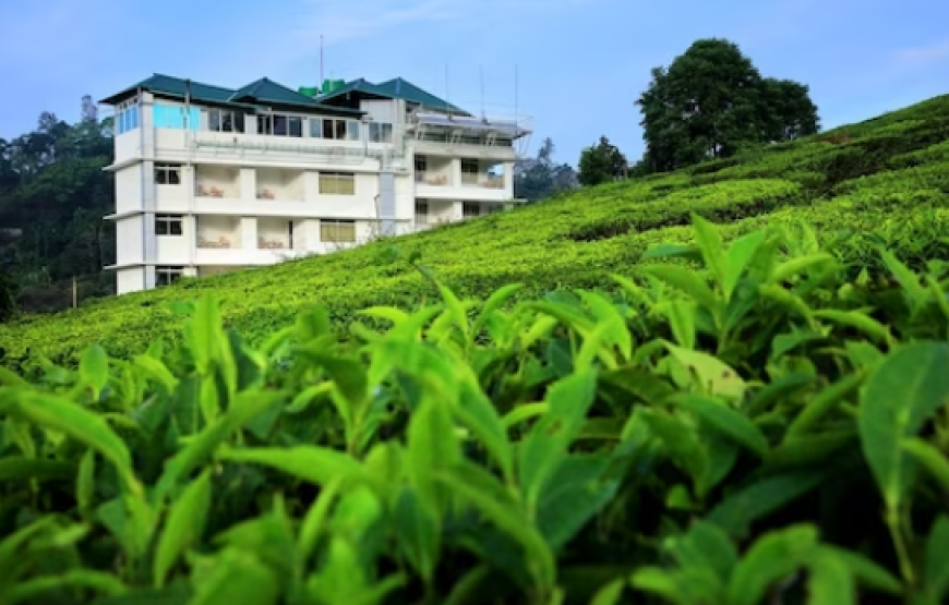 Monsoon Grande in Munnar