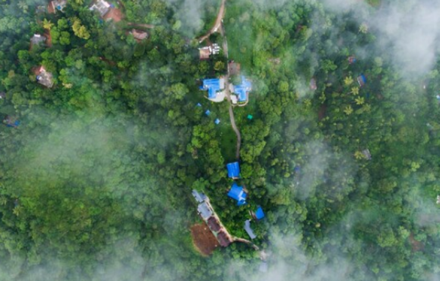 Eterno Camellia & Elettaria, Munnar