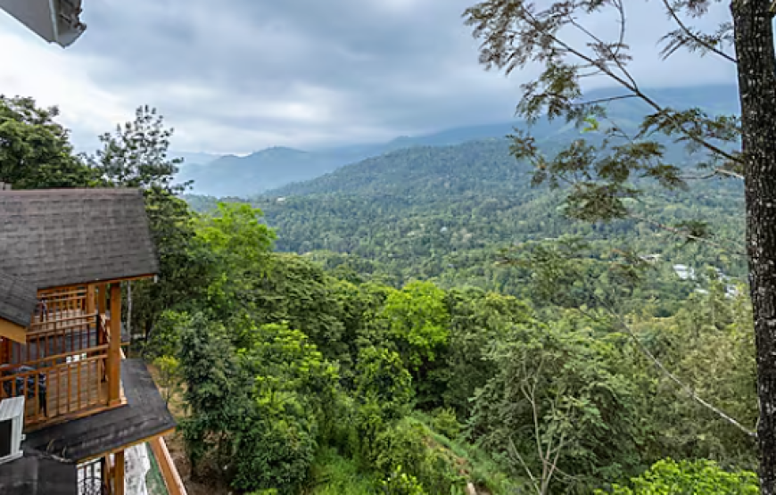 Eterno Camellia & Elettaria, Munnar