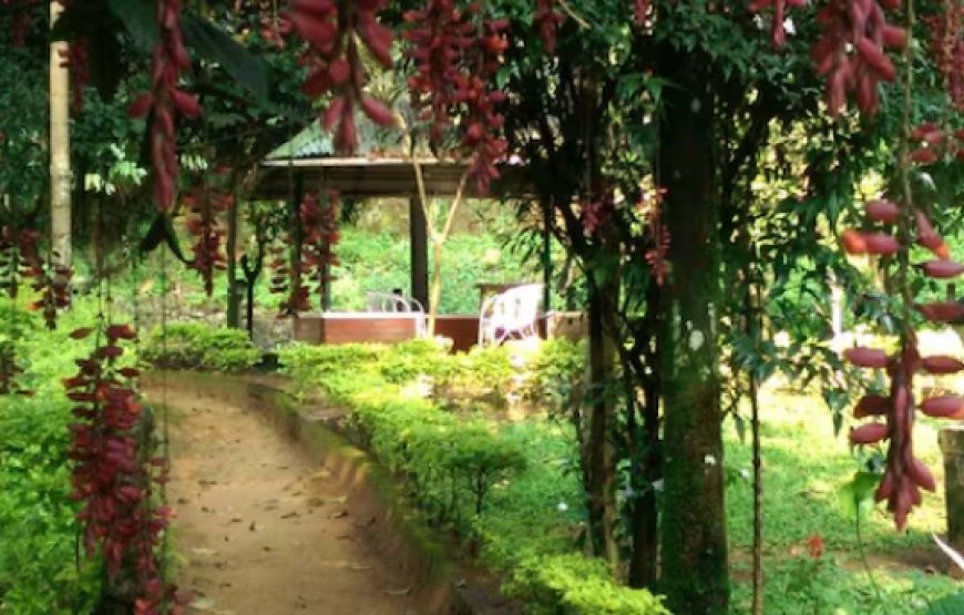 Glenmore Resorts Plantation Resort , Munnar