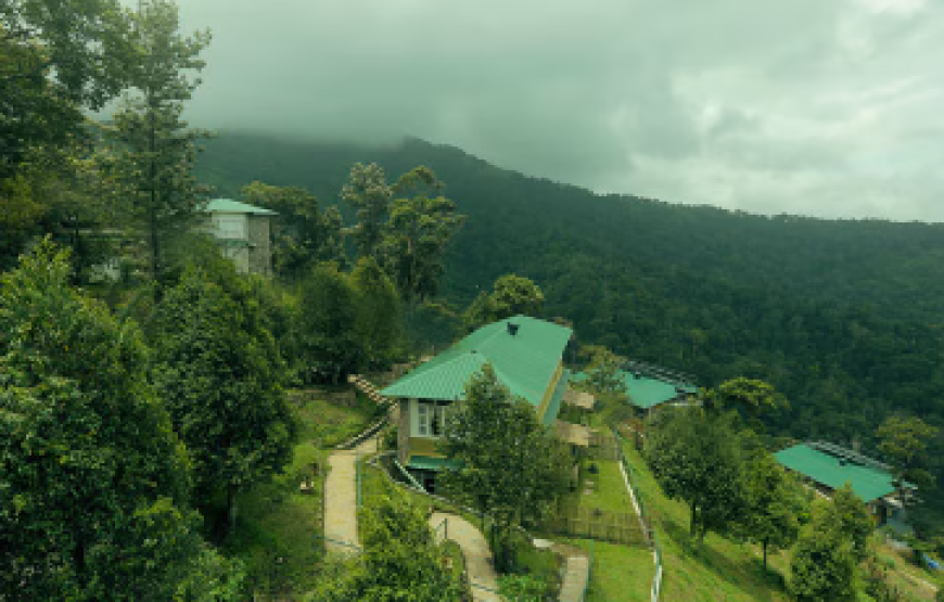 Spice Tree Boutique Resort, Munnar