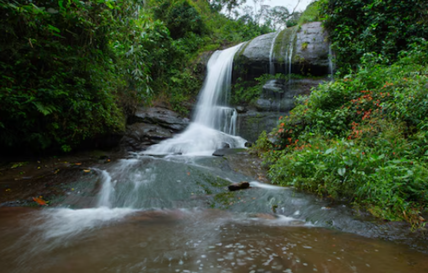 BAMBOO DALE, Munnar