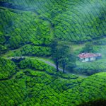 Hidden Gems in Kerala