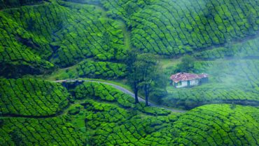 Hidden Gems in Kerala