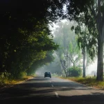 “India’s Best Road