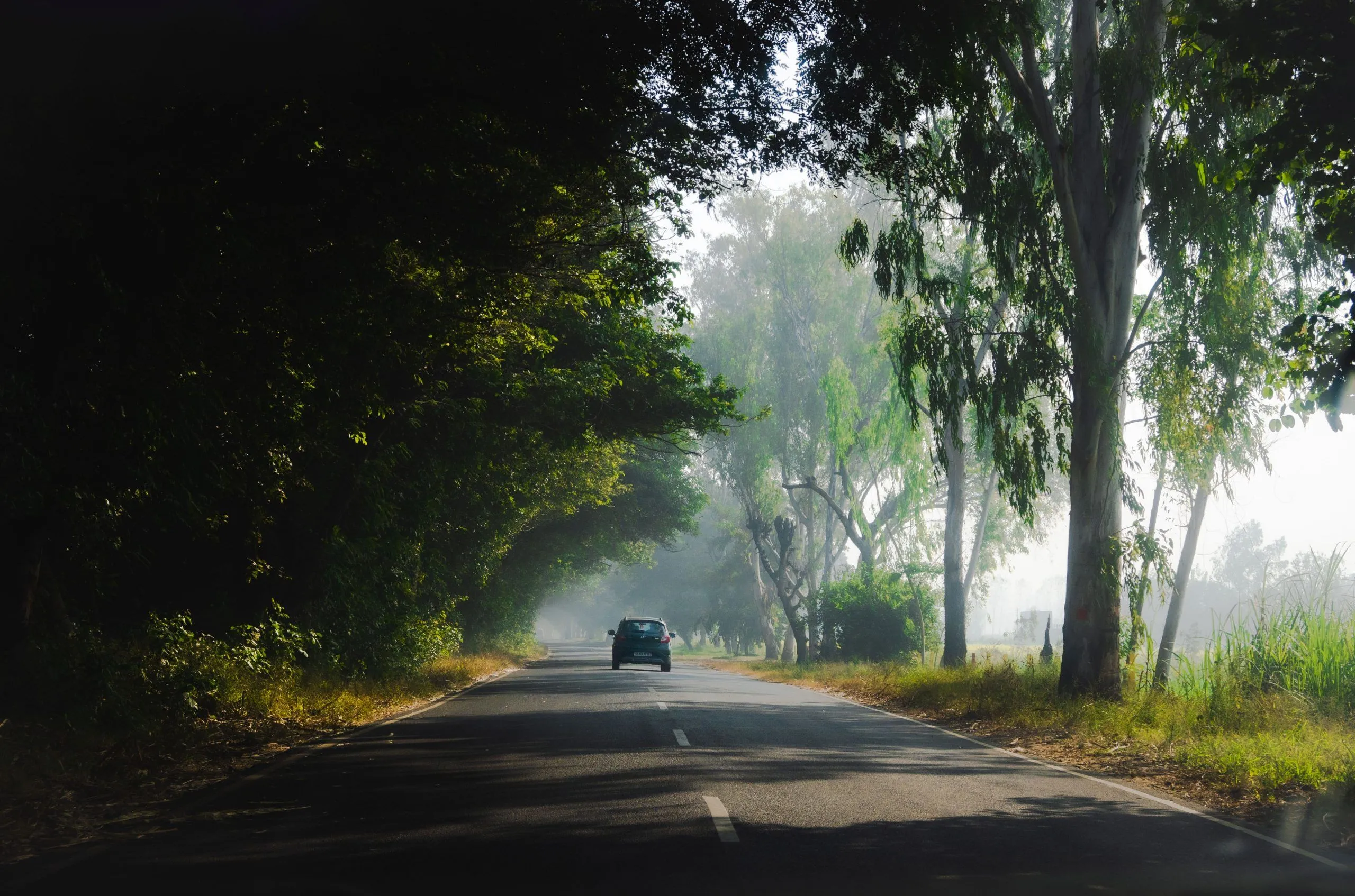 “India’s Best Road