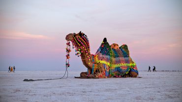 Rann of Kutch