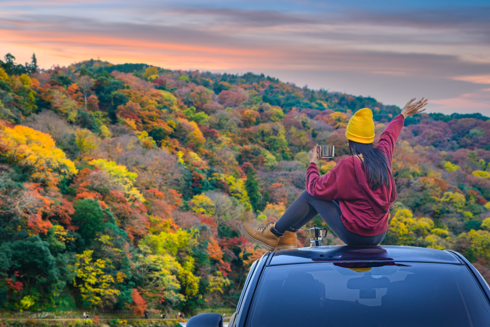 Seasonal Travel