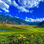 Kashmir