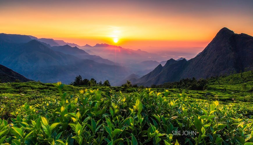 Idukki