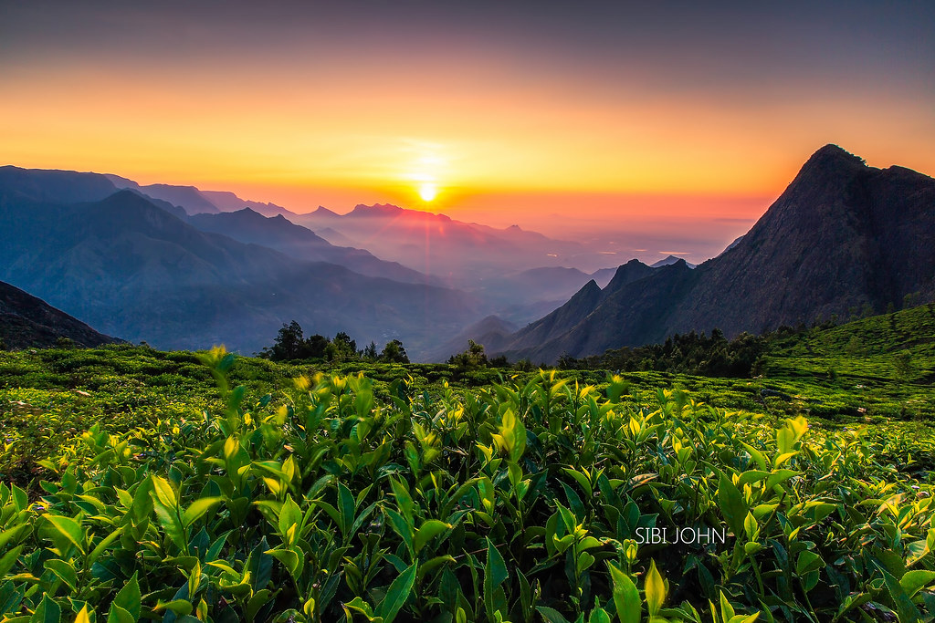 Idukki