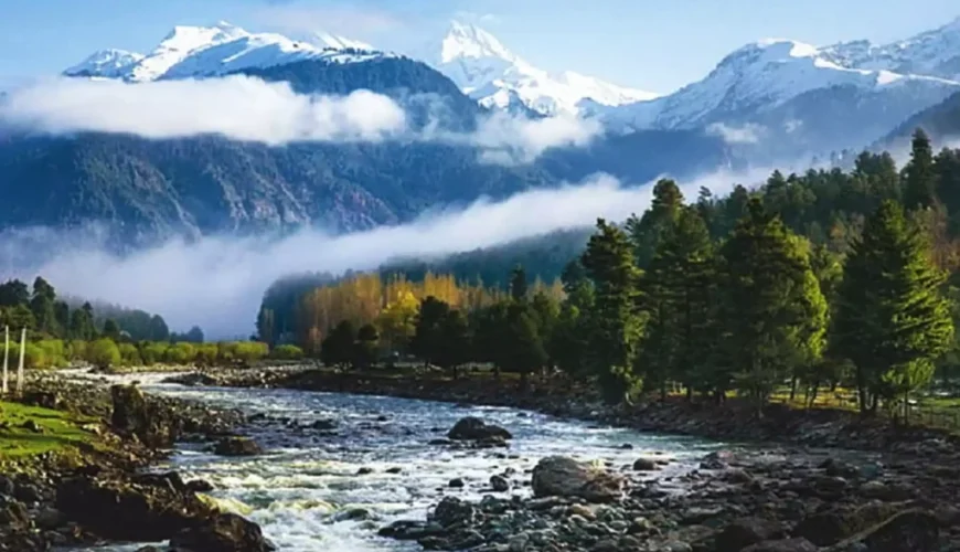 Kashmir
