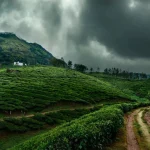 Monsoon Travel