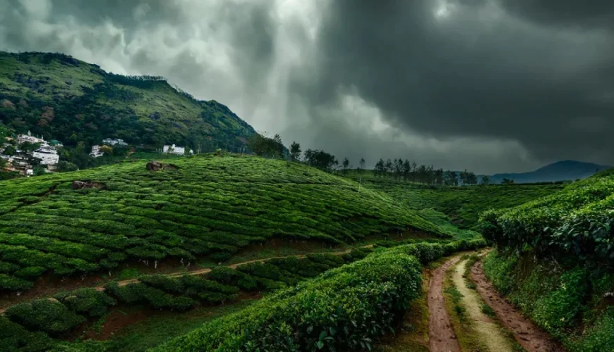 Monsoon Travel