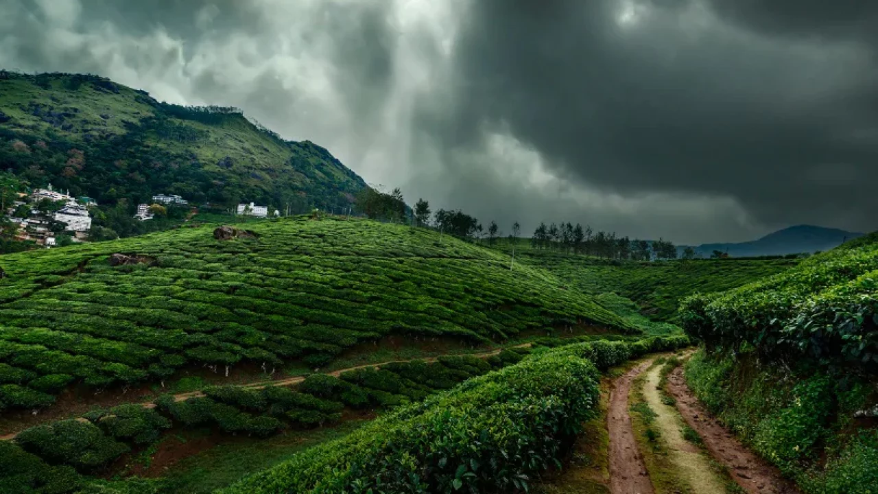 Monsoon Travel