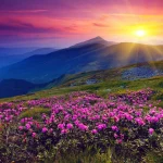 Ooty