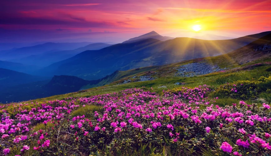 Ooty