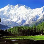 kashmir