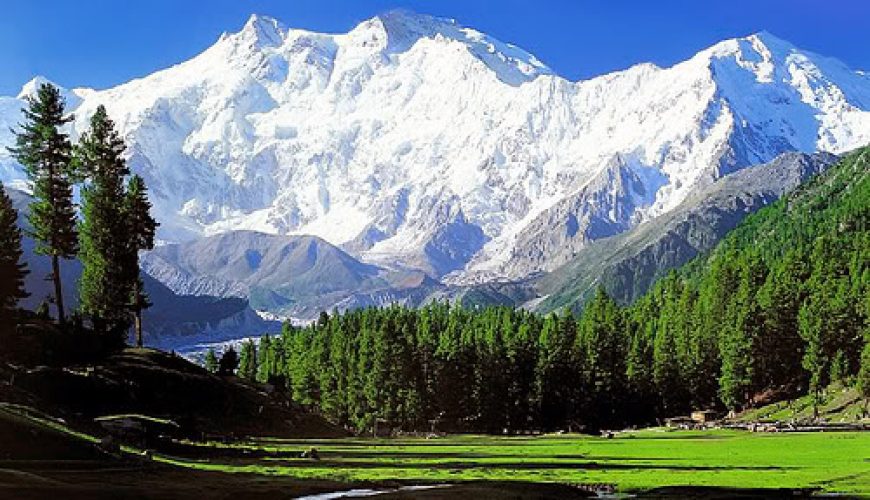 kashmir