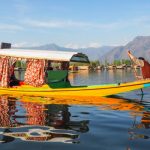How to Plan the Perfect Honeymoon in Kerala or Kashmir