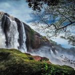 Weekend Escapes from Kochi: Hidden Gems Within 2 Hours